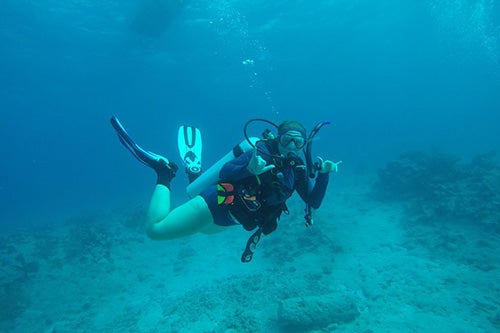 Recent graduate Abby Knipp studies corals in the ocean.