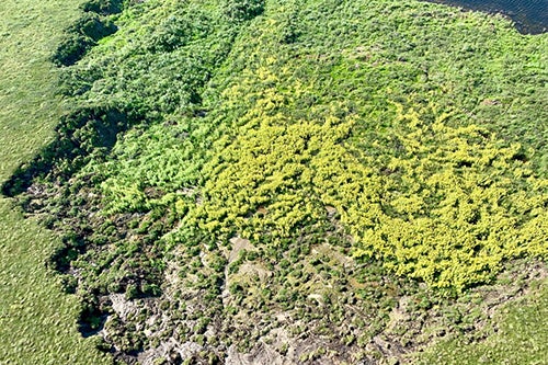 Noatak National Preserve in Alaska