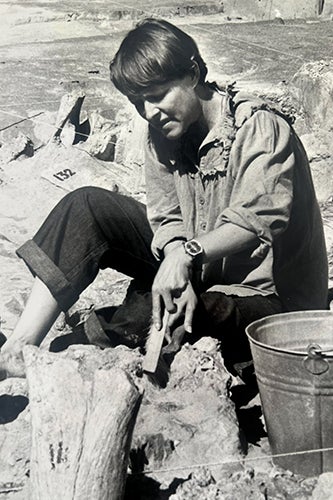 Soffer digging