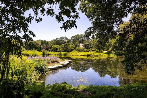 University of Illinois Arboretum. 