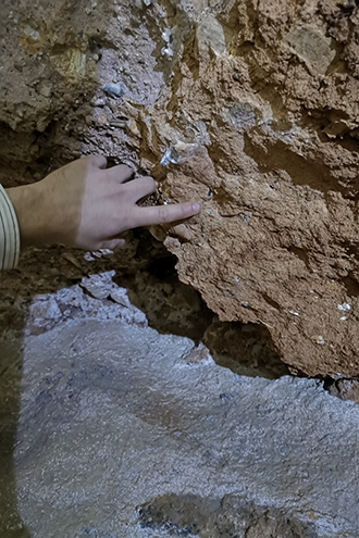 Bones in the wall of a cave