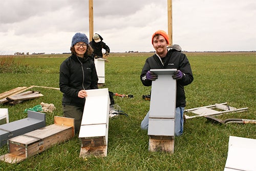 Researchers with bat roosts