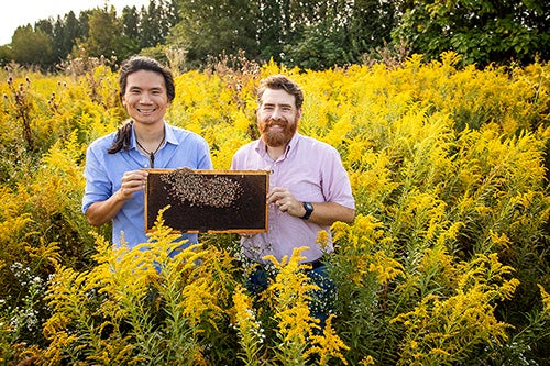 Researchers in a field