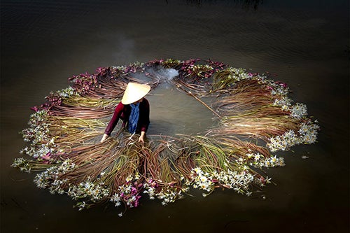 Woman with waterlillies