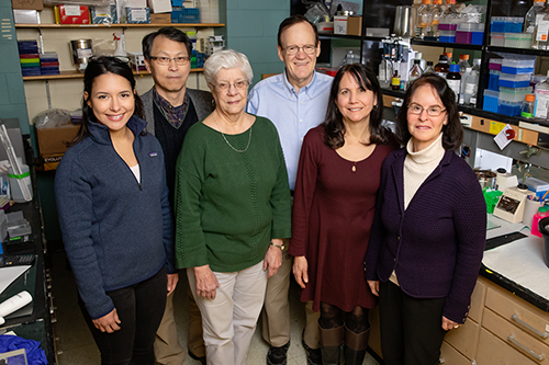 Scientists involved in cancer research