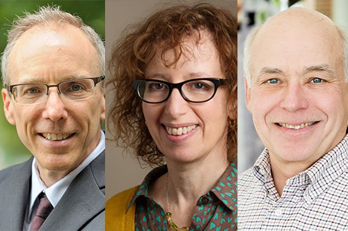 The Center for Advanced Study has appointed three new members connected to the College of Liberal Arts & Sciences. Pictured from left are Jeffrey S. Moore, chemistry and materials science and engineering; Harriet Murav, Slavic languages and literatures; and Donald R. Out, plant biology and crop sciences. (Submited