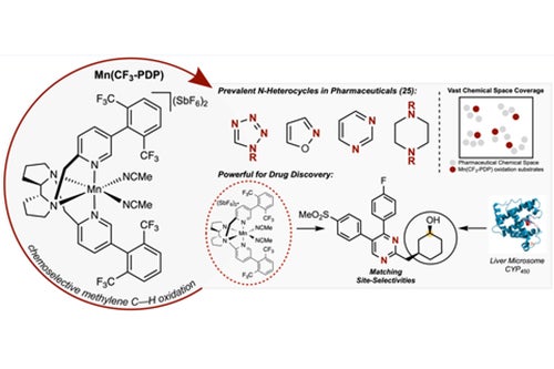 Pharmaceutical model