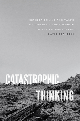 Catastrophic Thinking