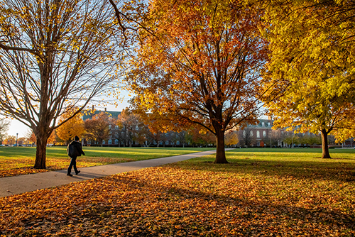 Main Quad on a fall day