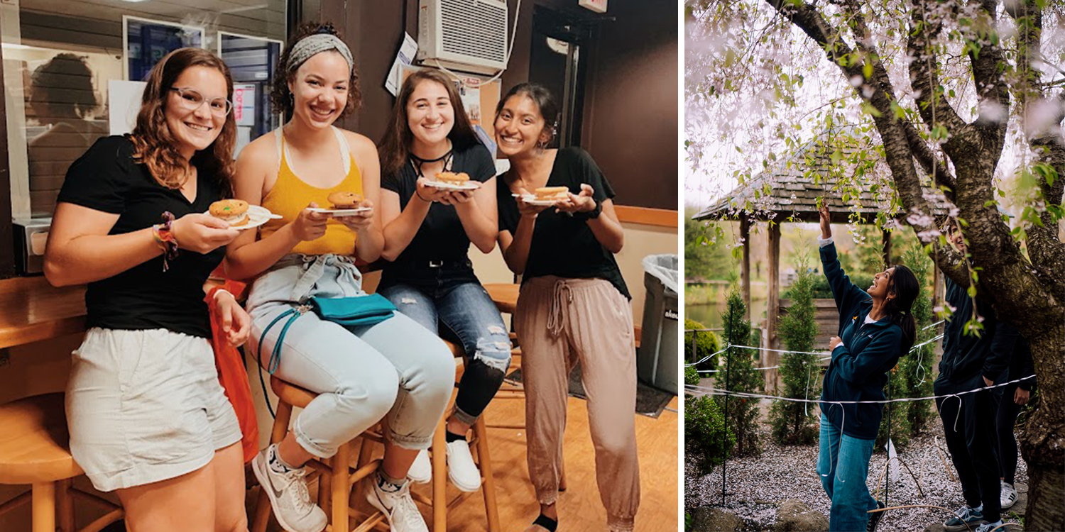 Two photographs: A group of students at Insomnia Cookies and Alisha reaching for a cherry blossom at the Japan house