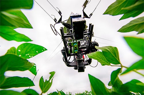 Dolly sensor