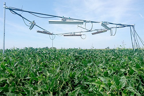 Crop heaters