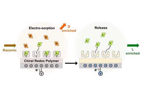 a racemic mixture in contact with the chiral electrosorbent