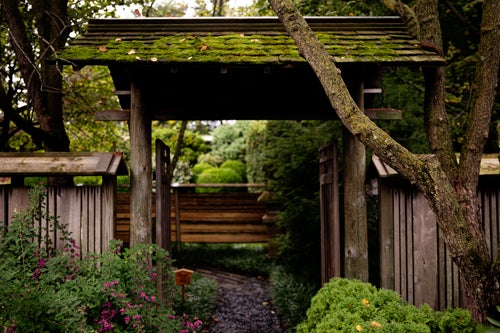 Japanese garden at the Japan House