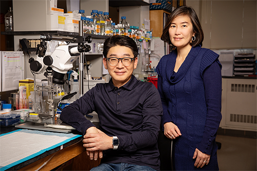 Illinois postdoctoral researcher Eung Chang Kim and professor Hee Jung Chung