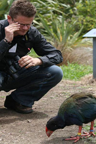 Mark Hauber observing a flightless bird