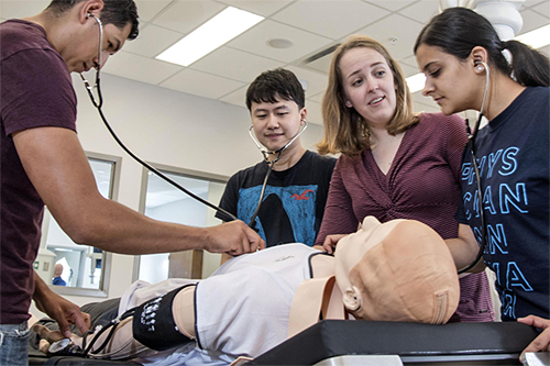 Students learning about health care