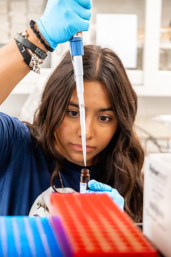 A biology major works in a lab on campus