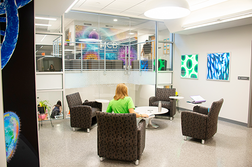 Student in MCB Learning Center 