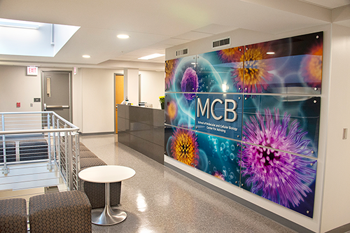 MCB Learning Center sign 