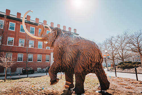 Mammoth near Natural History Building