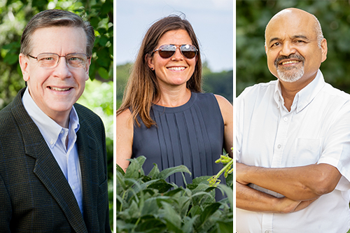 Ed Diener, Lisa Ainsworth, and Atul Jain