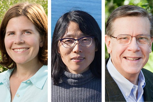 Elizabeth Ainsworth, Li-Qing Chen, and Ed Diener