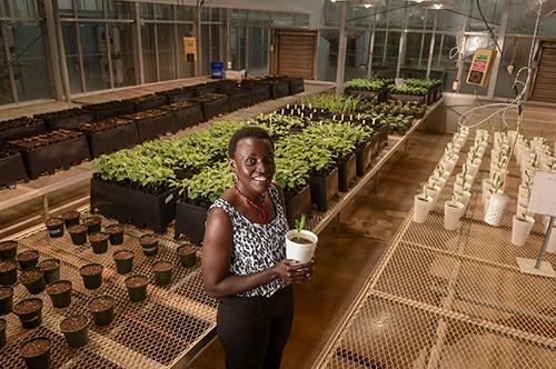 Esther Ngumbi in greenhouse