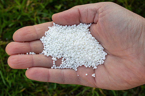 Hand holding fertilizer