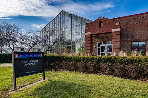 Plant Biology Greenhouse