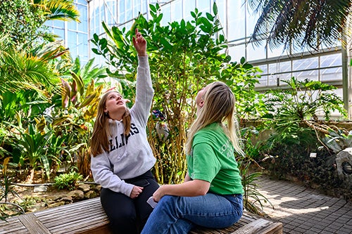 Students in conservatory