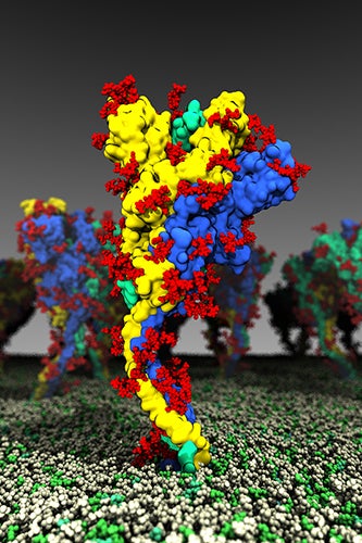 Image of spike protein