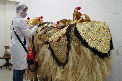 Spurlock staff cleaning Barong Dance Costume