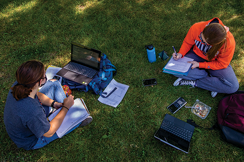 Students studying on lawn