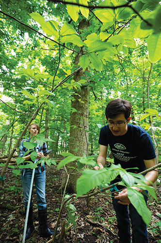 April Wendling and Alan Sherrill