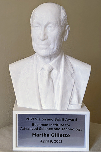 Vision and Spirit Award