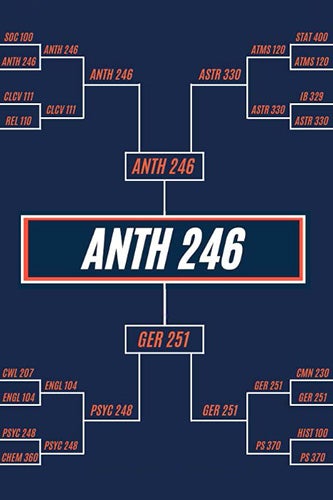 The LAS courses bracket, with anthropology 246 in the championship spot