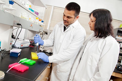 Male doctoral student supervised by female professor. 