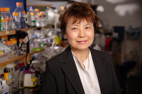 Animal biology professor Christina Cheng