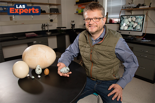 Mark Hauber holding an egg