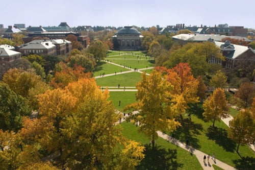 The UIUC Main Quad on a fall day