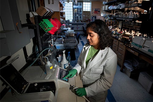 A student completes undergraduate research