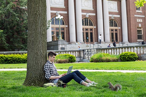 A student studies on the Main Quad while a squirrel looks on