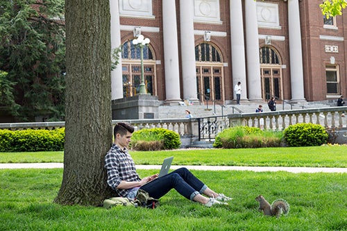 A student studies next to a tree on the Quad as a squirrel approaches