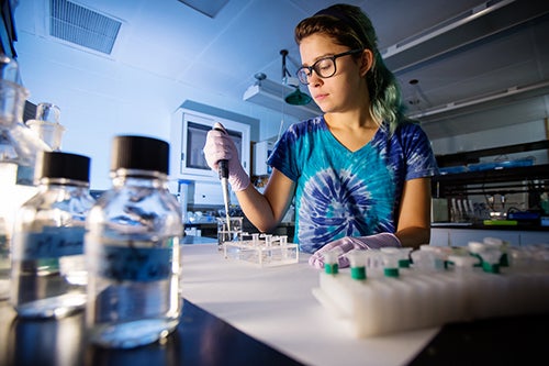 A student works in a research lab