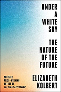 The book cover to "Under a White Sky"