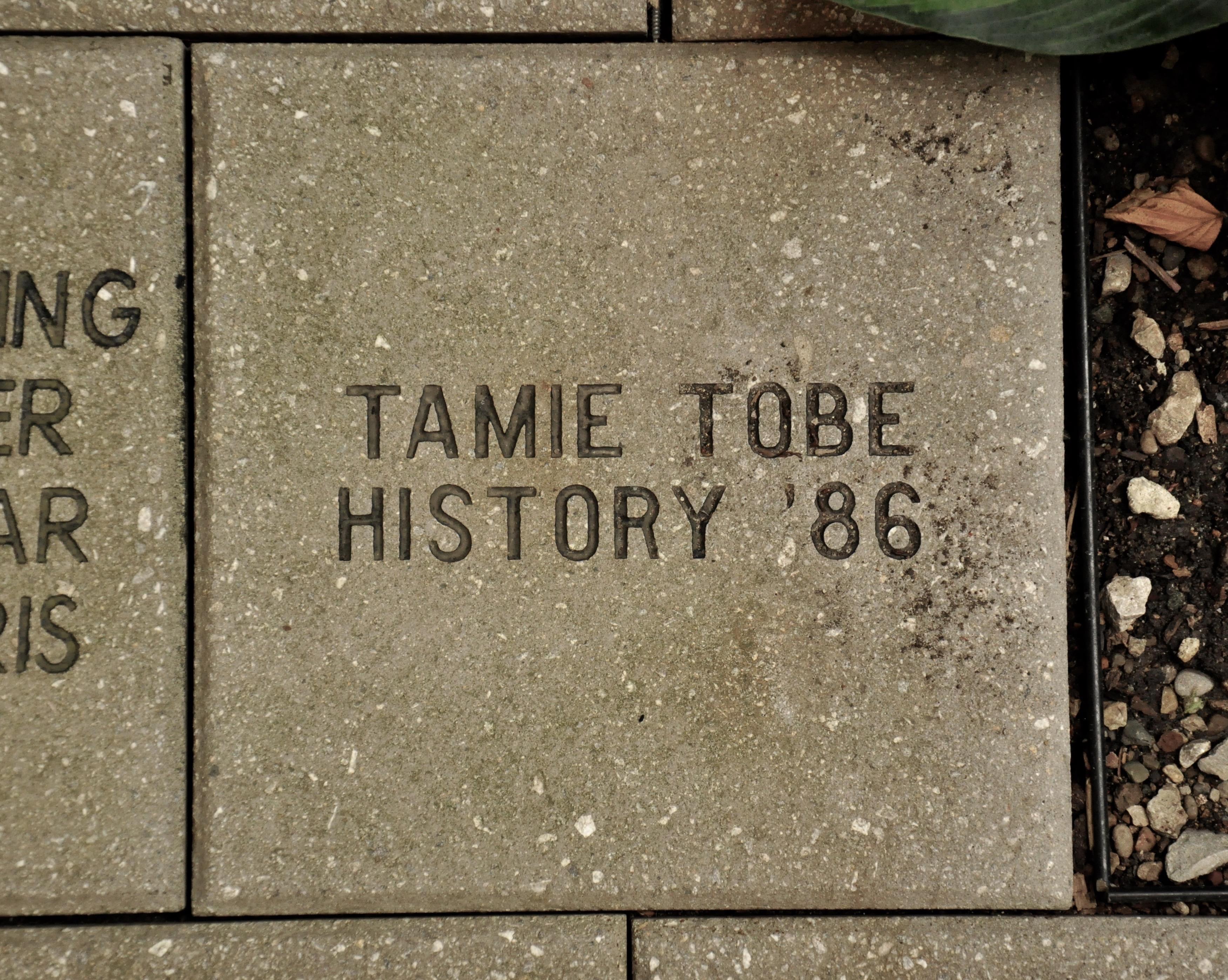 Tamie Tobe
