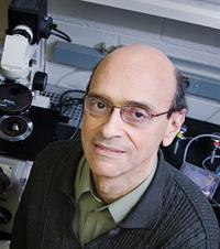 David Shapiro's team identified inhibitors that effectively retard the production of proteins that promote the growth and proliferation of ER-positive breast cancer cells. (Photo by Brian L. Stauffer.)