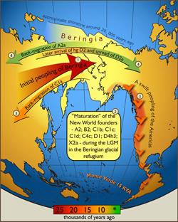 Research by anthropologists in LAS indicate that early humans may have migrated from Asia to the Americas more slowly than originally believed. New DNA evidence suggests that they settled in the area between Siberia and Alaska for 15,000 years, then spread into the Americas. (Image courtesy of Ripan Mahli.)