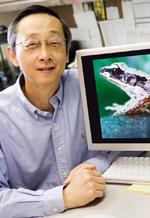 Albert Feng's research team discovered the torrent frog's ability to tune in to certain frequencies while they were examining the creature's transparent eardrums.